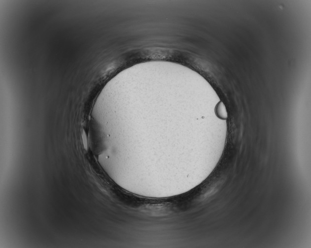 X0000086080307200704132109