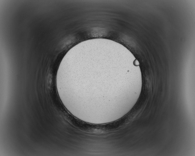 X0000086080308200704132109