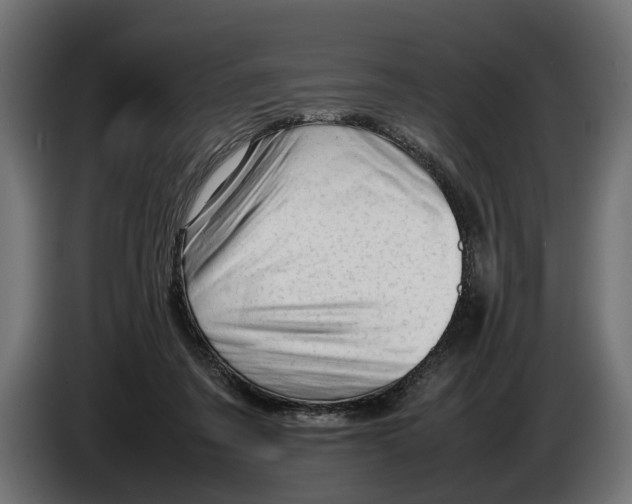 X0000086080311200704132109