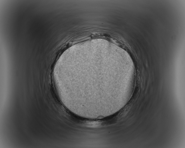 X0000086080313200704132109