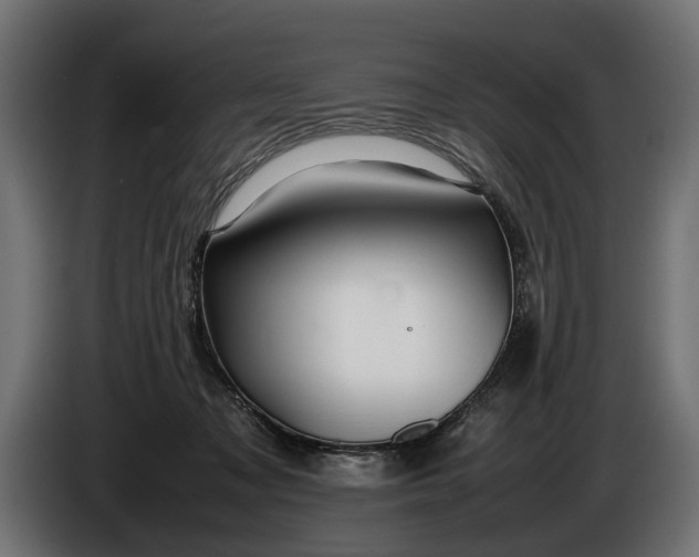 X0000086080317200704132109