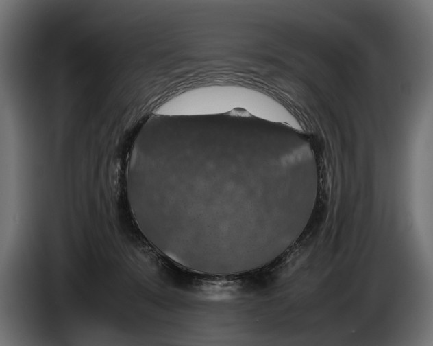 X0000086080319200704132109