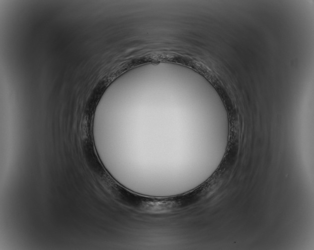 X0000086080323200704132109