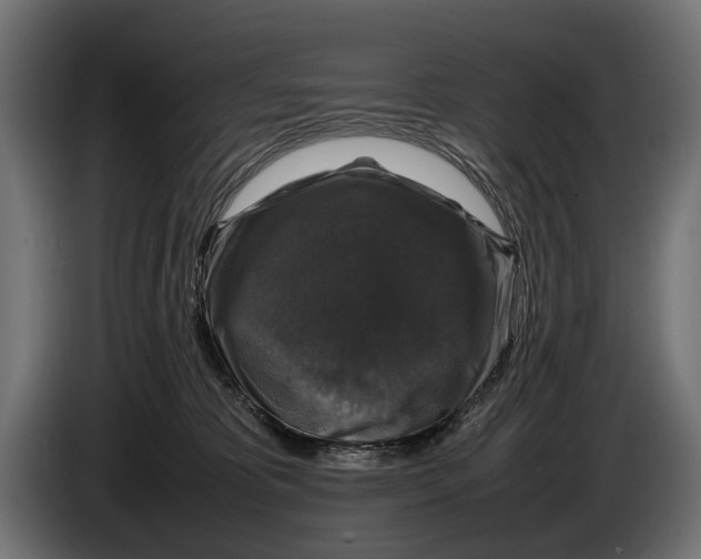 X0000086080325200704132109