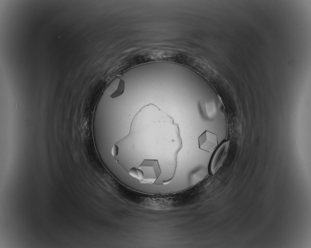 X0000086080327200704132109