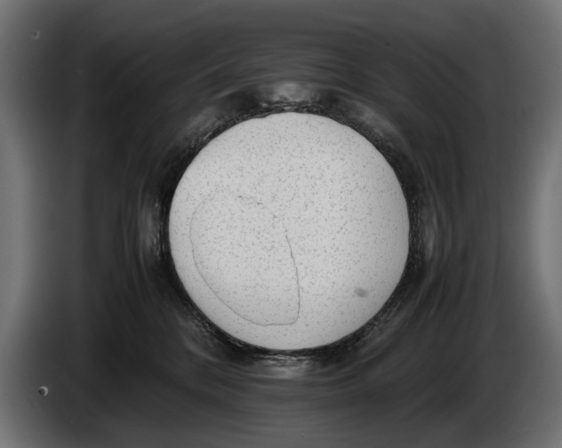 X0000086080328200704132109