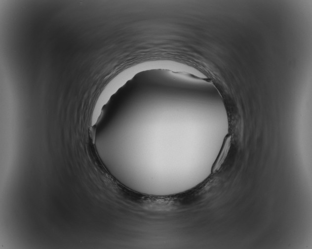 X0000086080329200704132109