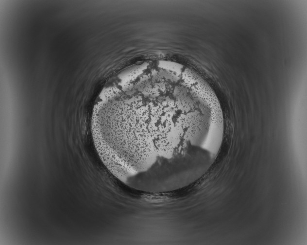 X0000086080331200704132109