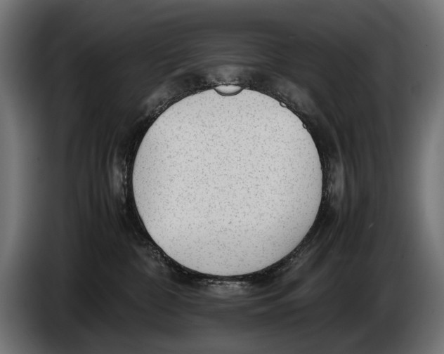 X0000086080332200704132109