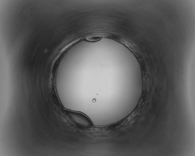 X0000086080338200704132108