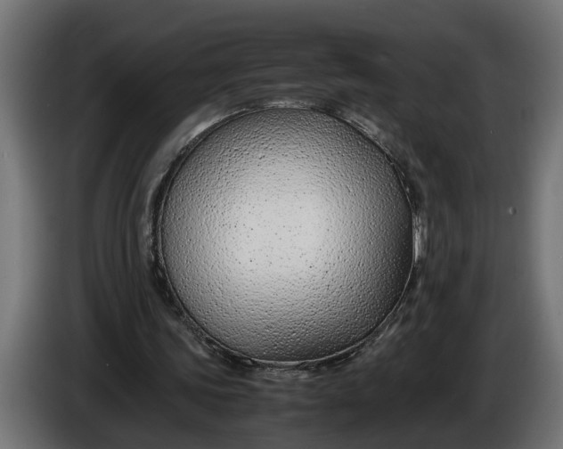 X0000086080339200704132108