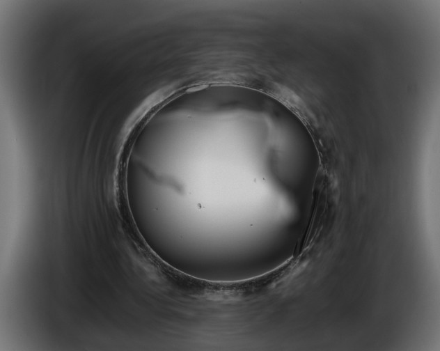 X0000086080340200704132108