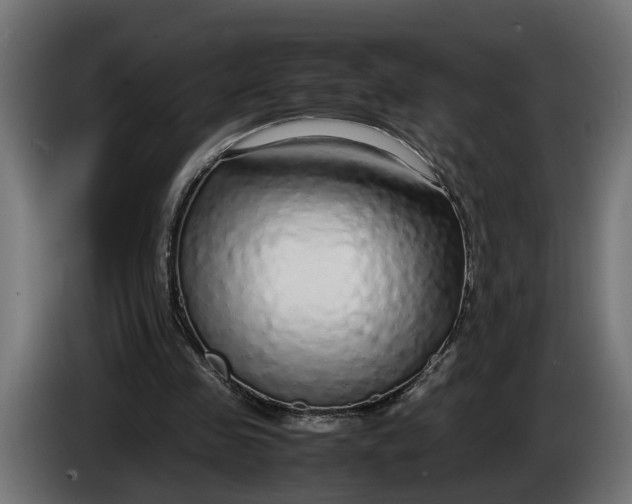 X0000086080341200704132108