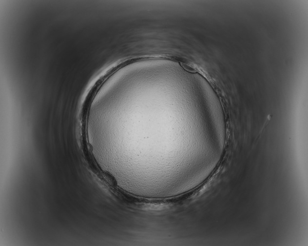 X0000086080342200704132108