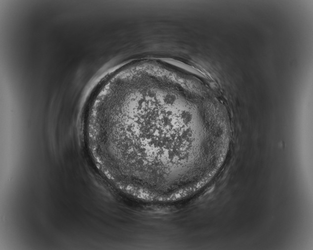 X0000086080343200704132108