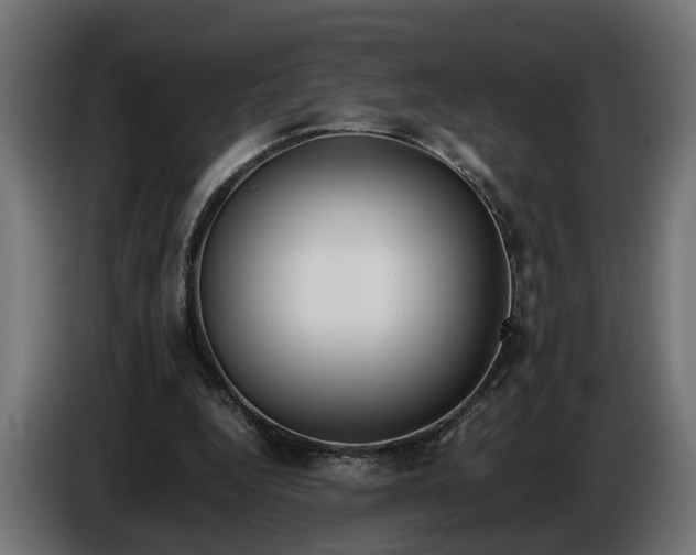 X0000086080344200704132108