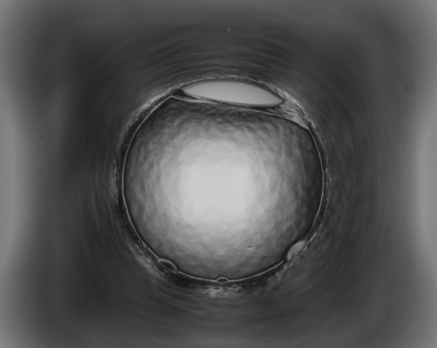 X0000086080345200704132108