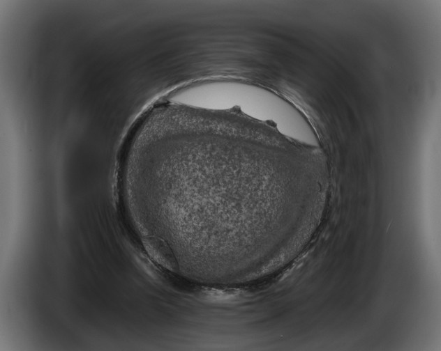 X0000086080346200704132108