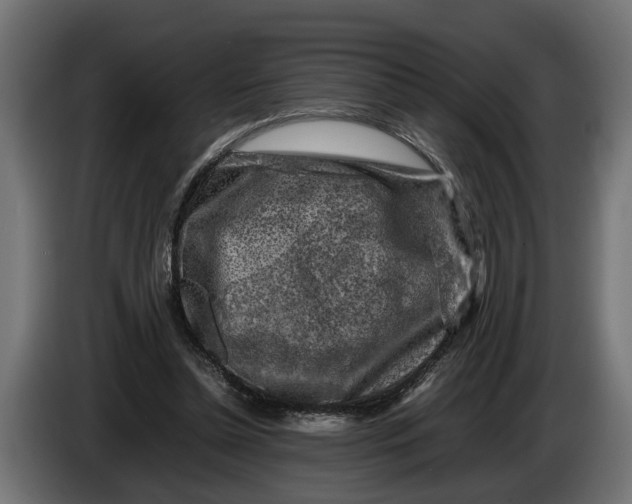 X0000086080348200704132108