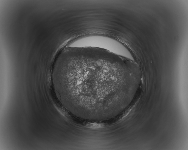 X0000086080352200704132108