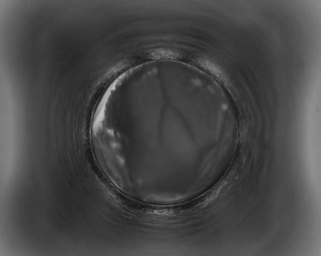 X0000086080353200704132108