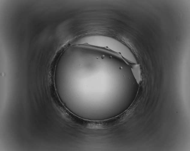 X0000086080354200704132108