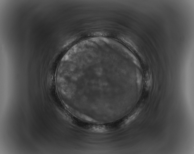 X0000086080355200704132108