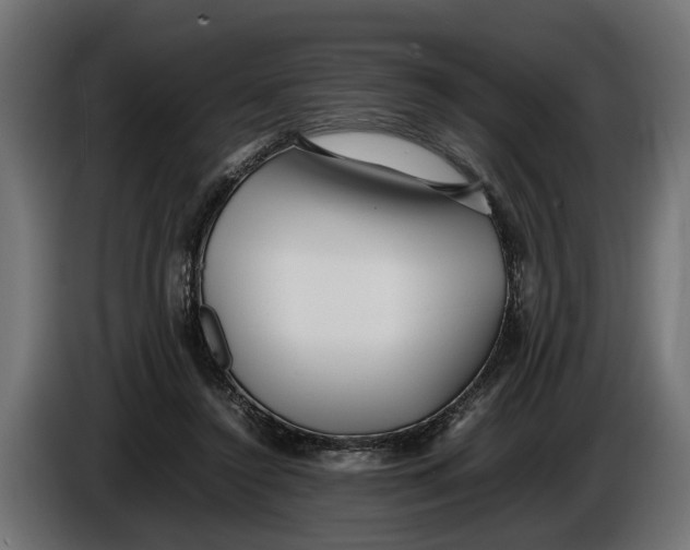 X0000086080356200704132108