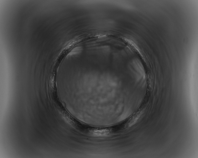 X0000086080357200704132108