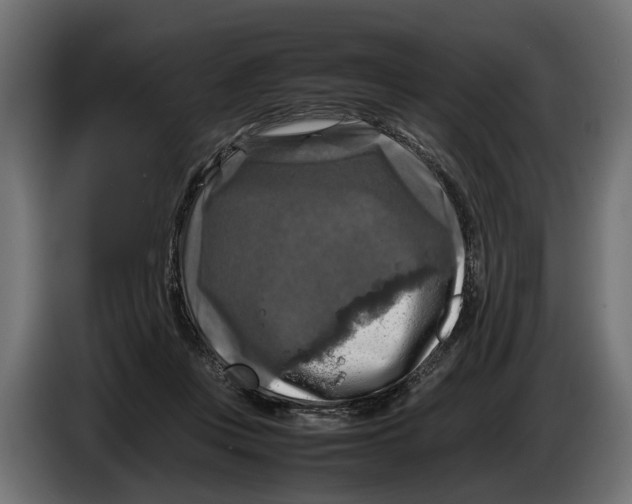 X0000086080359200704132108