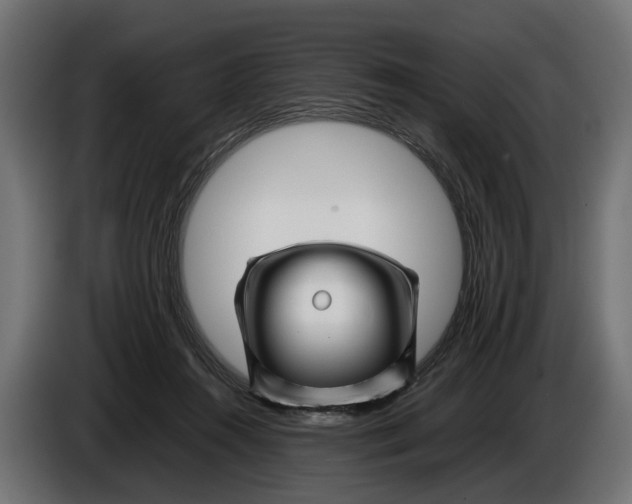 X0000086080360200704132108