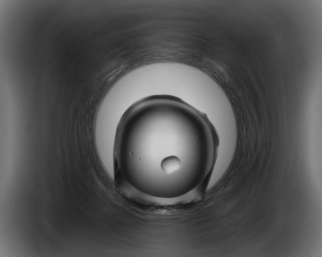 X0000086080364200704132108