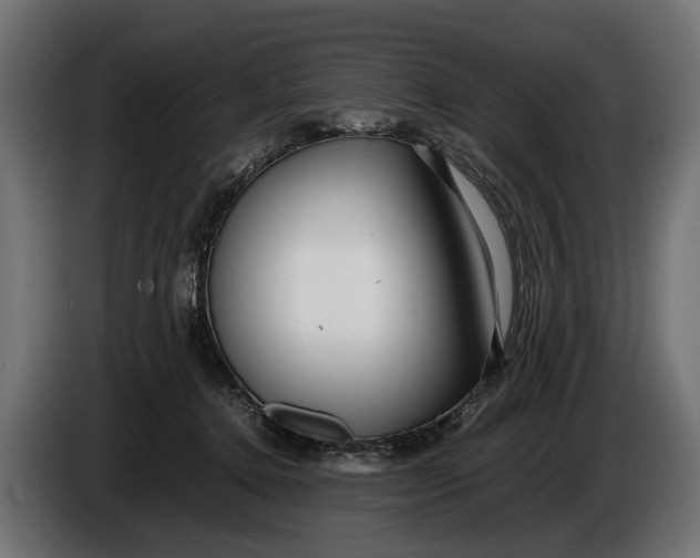 X0000086080368200704132108