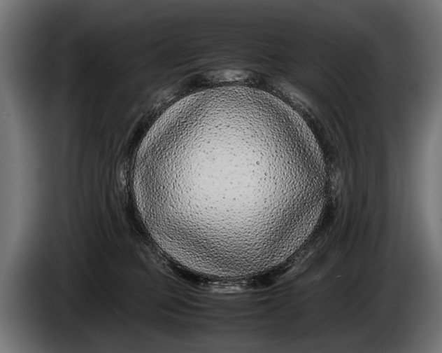 X0000086080373200704132109