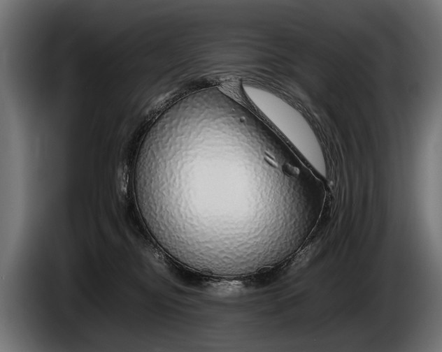 X0000086080374200704132109