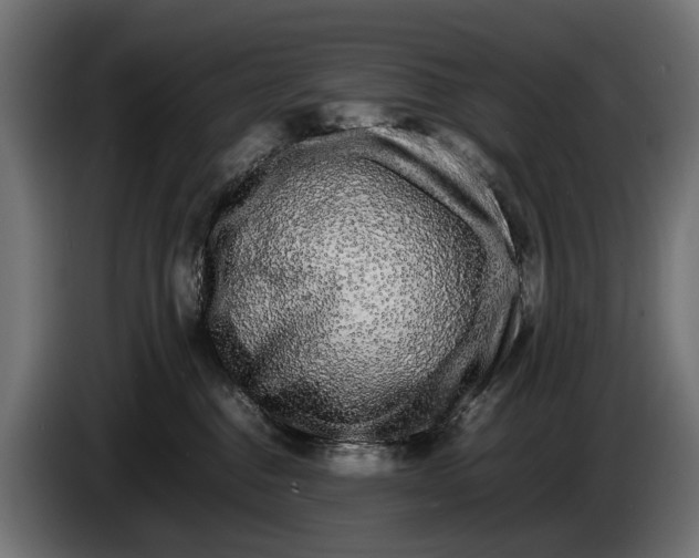 X0000086080376200704132109