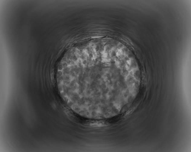 X0000086080377200704132109