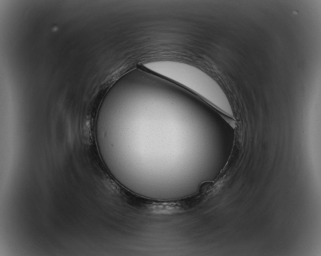 X0000086080378200704132109