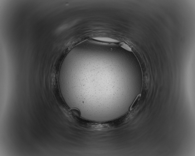 X0000086080379200704132109