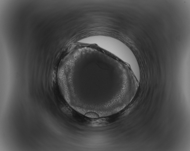 X0000086080382200704132109