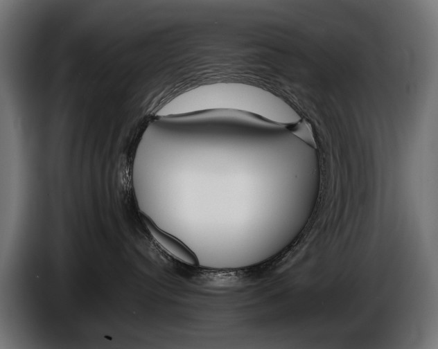 X0000086080384200704132109