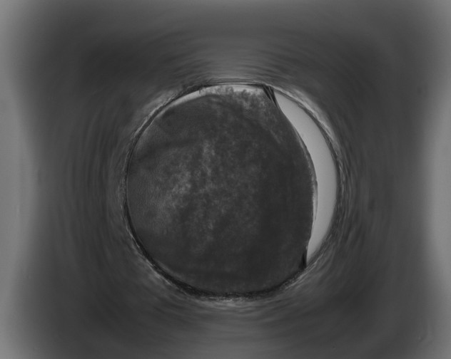 X0000086080385200704132108