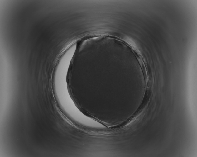 X0000086080389200704132108