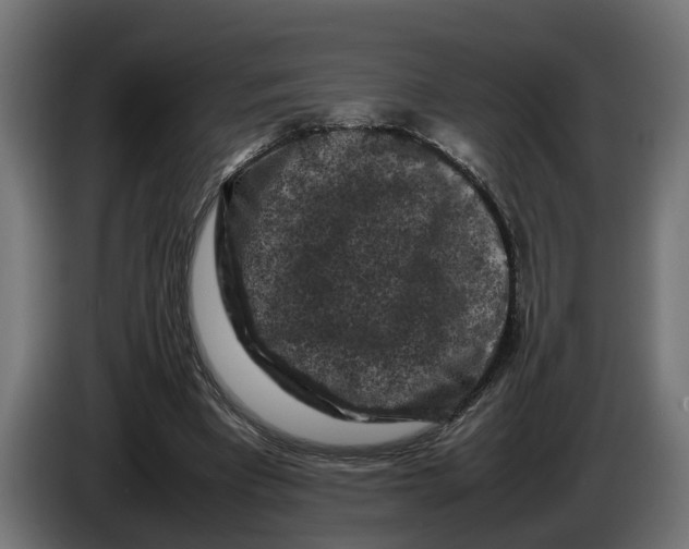 X0000086080393200704132108