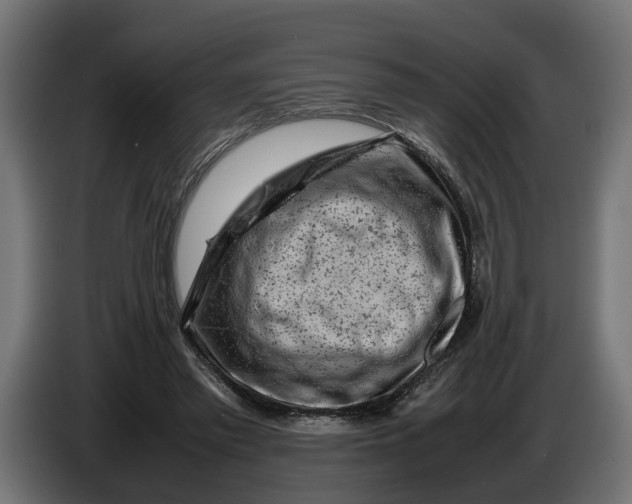 X0000086080397200704132108