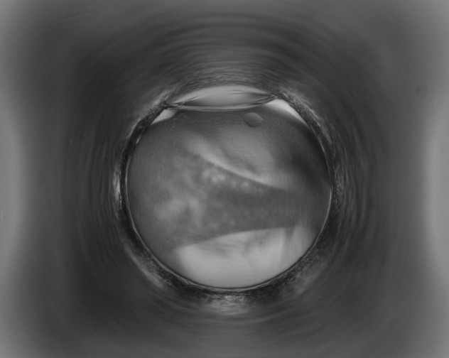 X0000086080398200704132108