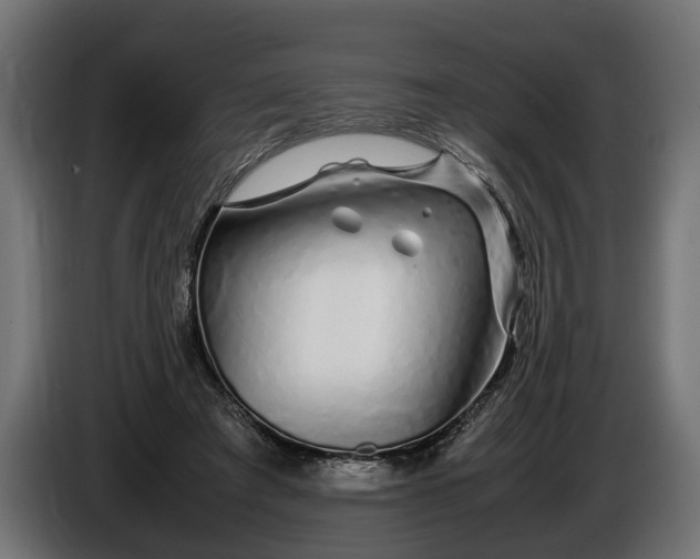 X0000086080401200704132108