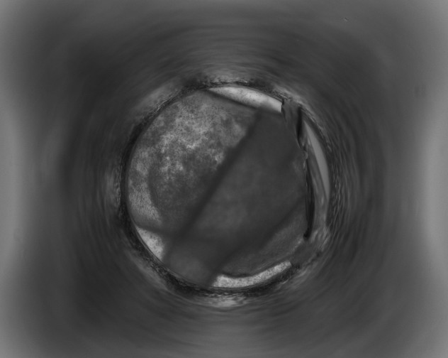 X0000086080402200704132108