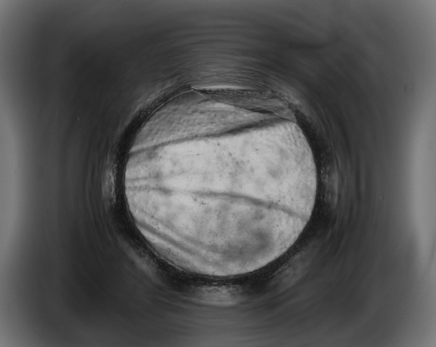 X0000086080404200704132108