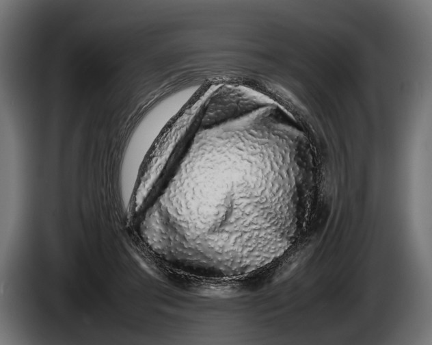 X0000086080405200704132108